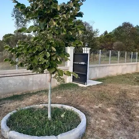 Dom wakacyjny σπίτι δίπλα στη θάλασσα *
