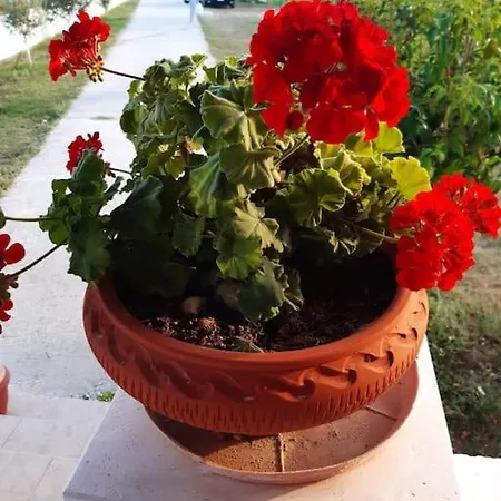 σπίτι δίπλα στη θάλασσα
